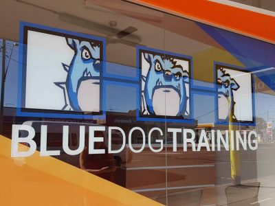 Blue Dog Training
